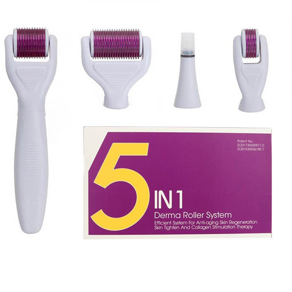 6 IN 1 DERMA ROLLER STYSTEM