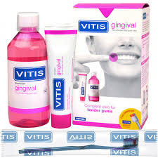 VITIS PACK GINGIVAL (BDB 500ML+DENTIFRICE 100ML +BAD