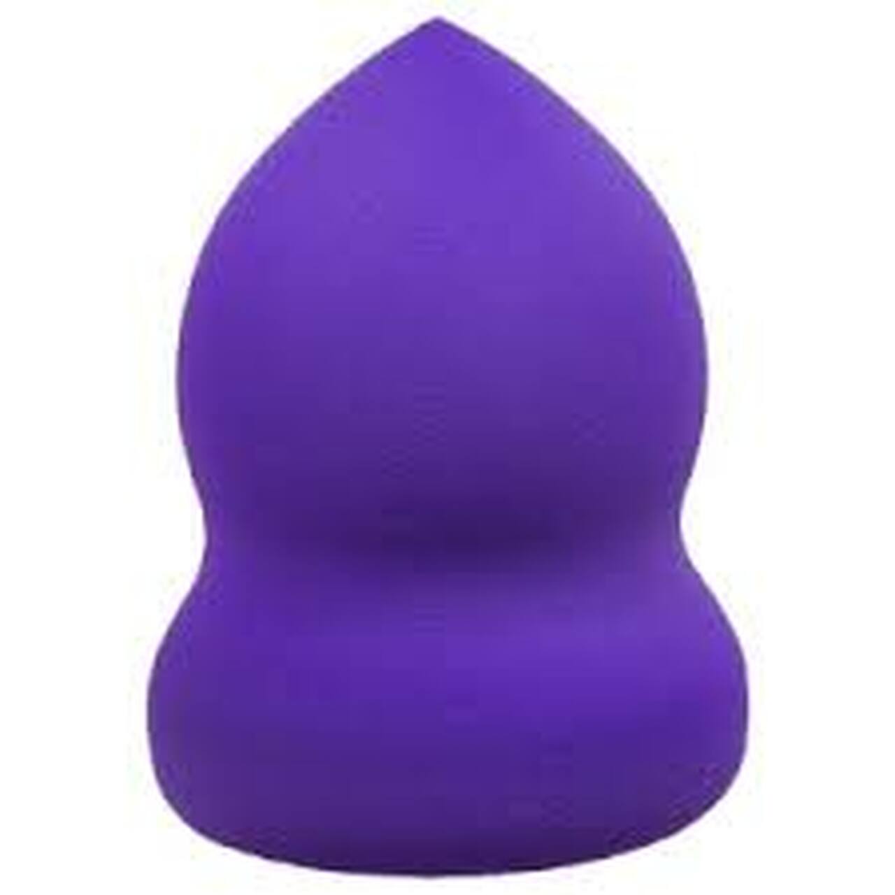 Sassy Chic Blender Sponge