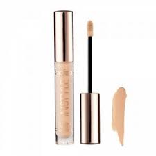 Topface Follow Instyle Lasting Finish Concealer - 003