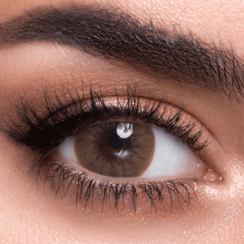 Lens Me Coloured Contact Lenses - Latte